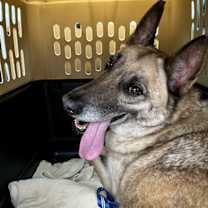 Thumbnail photo of Chase #1