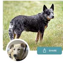 Thumbnail photo of Kenji #1