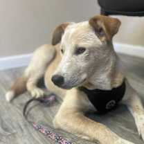 Thumbnail photo of Kenji #3
