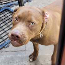 Thumbnail photo of Ranger #3