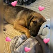 Thumbnail photo of Neena #1