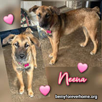 Thumbnail photo of Neena #2