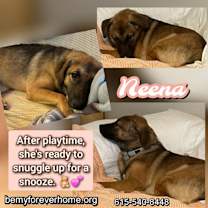 Thumbnail photo of Neena #3
