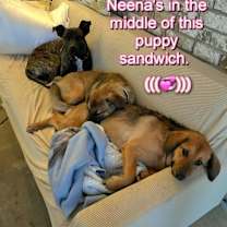 Thumbnail photo of Neena #4