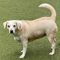 Thumbnail photo of Margarita #1