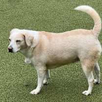 Thumbnail photo of Margarita #2