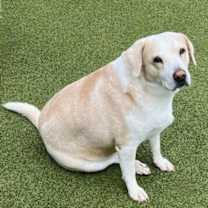 Thumbnail photo of Margarita #4