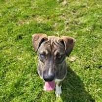 Thumbnail photo of June #3