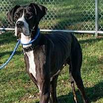 Thumbnail photo of Uri #1