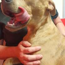 Thumbnail photo of Pablo #2