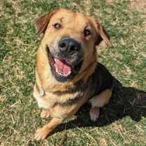 Thumbnail photo of Bella #1