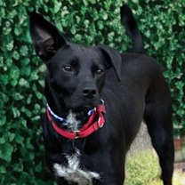 Thumbnail photo of Quest #1