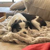 Thumbnail photo of JACK #11 #4