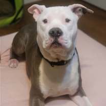 Thumbnail photo of Freddie #1