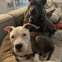 Thumbnail photo of Freddie #3