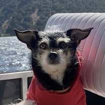 Thumbnail photo of Buddy #4