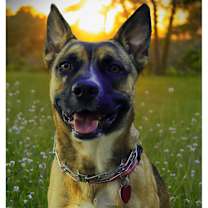 Thumbnail photo of Baby #1