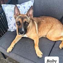 Thumbnail photo of Baby #2