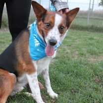 Thumbnail photo of Argo #1