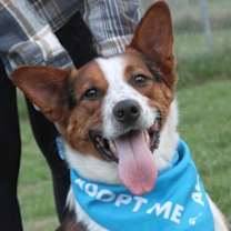 Thumbnail photo of Argo #4