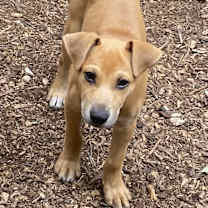 Thumbnail photo of Tanner #1