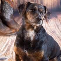 Thumbnail photo of MYA #2