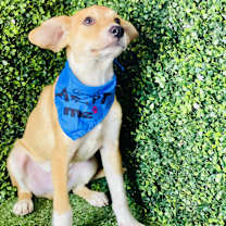 Thumbnail photo of Jerry #4