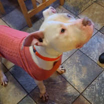 Thumbnail photo of Carly #4
