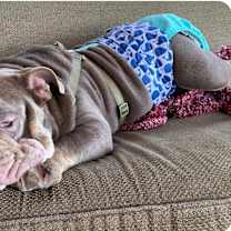 Thumbnail photo of Tommy #1