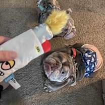 Thumbnail photo of Tommy #2