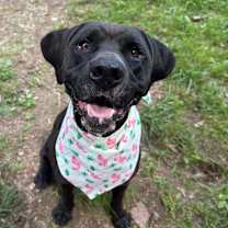 Thumbnail photo of Beauty #1