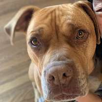 Thumbnail photo of Jax #2