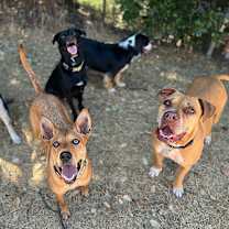 Thumbnail photo of Jax #4