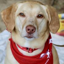 Thumbnail photo of Baker (aka Mason) #2