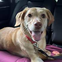 Thumbnail photo of Baker (aka Mason) #3