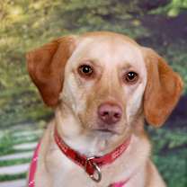 Thumbnail photo of Baker (aka Mason) #4