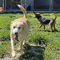 Thumbnail photo of Dory #4