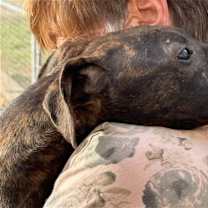 Thumbnail photo of Becky Jo #3