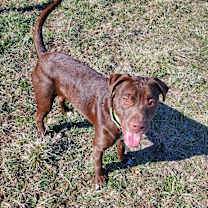 Thumbnail photo of Sugar #1