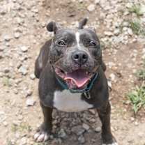 Thumbnail photo of Laila #1