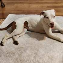 Thumbnail photo of Maya #1