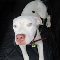 Thumbnail photo of Maya #2