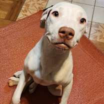 Thumbnail photo of Maya #4