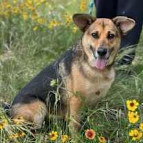 Thumbnail photo of Doc #2