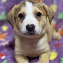 Thumbnail photo of Charlie #2