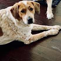 Thumbnail photo of Penny #3
