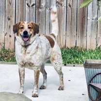 Thumbnail photo of Penny #2