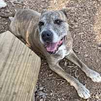 Thumbnail photo of Rockwell #1