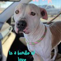 Thumbnail photo of Winki #2