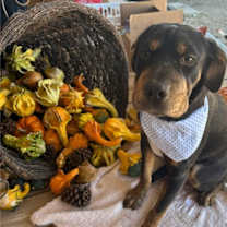 Thumbnail photo of Lyvia #1